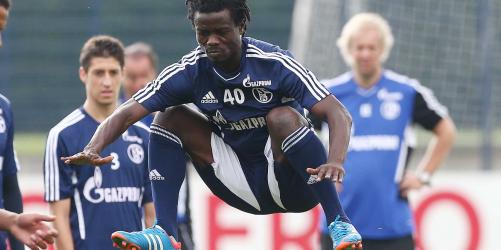 Schalke 04: Angebote für Anthony Annan