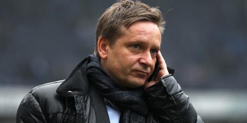 Schalke: Die Krise als Heldts größte Herausforderung