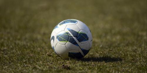 Hallescher FC: Neuzugang von Dynamo Dresden