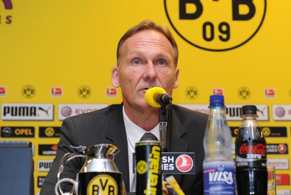 BVB: Neuer Rekordumsatz in Dortmund