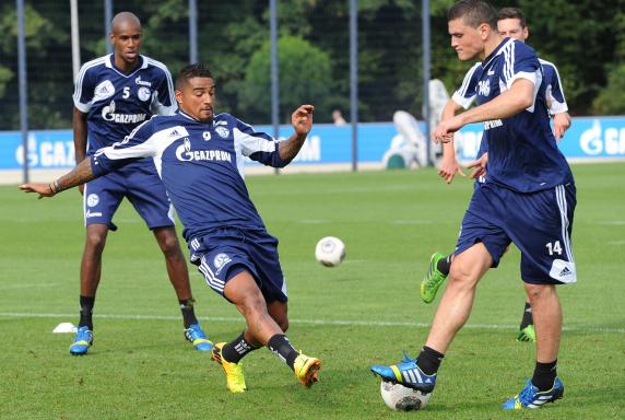 Schalke: "Papa" steigert sein Pensum