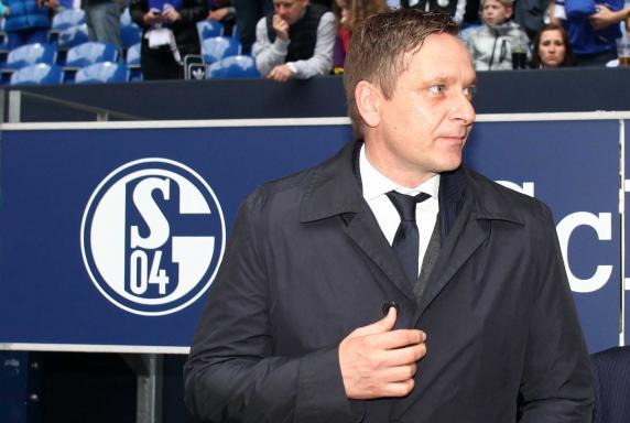 Schalke: Neuverstärkungen in Sicht
