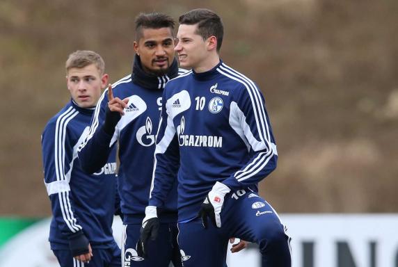 Schalke: Höwedes und Draxler fit für Mainz