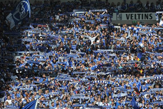 Schalke: Ganz starkes Geschäftsjahr 2013
