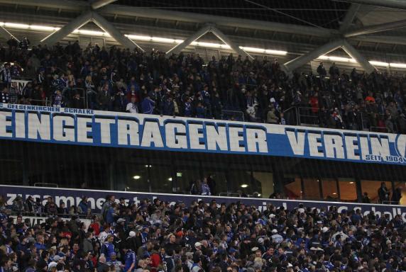 Schalke.V.ereint kämpft um Mitbestimmung