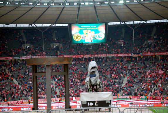 DFB-Pokalfinale: Ticketanfragen bricht alle Rekorde