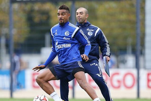 Schalke: Di Matteo leitet erstes Training