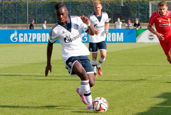 Youth League: Schalke festigt Platz zwei