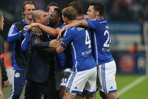 Schalke-Stimmen nach dem Spiel gegen Sporting
