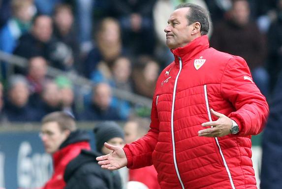 VfB Stuttgart: Stevens übernimmt für Veh