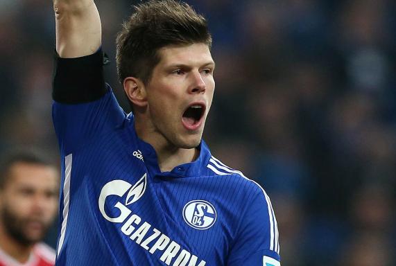 Schalke: Stimmen zum Spiel gegen Hamburg