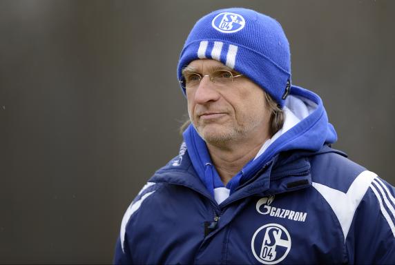 FC Schalke 04, Norbert Elgert