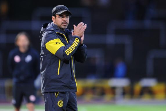 Trainer, Borussia Dortmund II, 3. Liga, David Wagner, Saison 2014/15, Trainer, Borussia Dortmund II, 3. Liga, David Wagner, Saison 2014/15