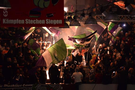 Fans, ESC Moskitos Essen, Saison 2014 / 2015, Fans, ESC Moskitos Essen, Saison 2014 / 2015