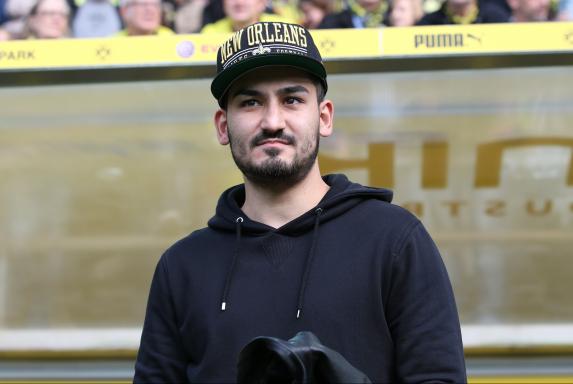 Borussia Dortmund, Ilkay Gündogan, Saison 2013/2014, Borussia Dortmund, Ilkay Gündogan, Saison 2013/2014