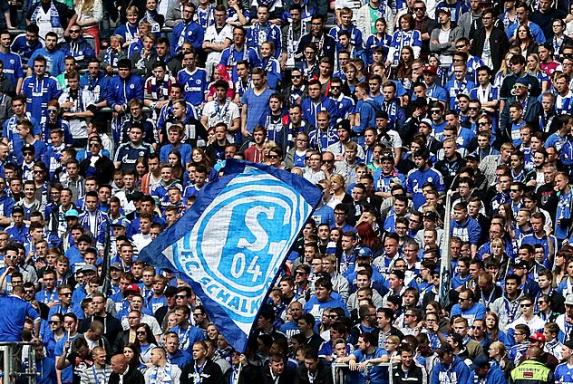 Schalke: Test gegen den FC Porto vereinbart