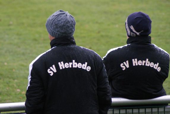 SV Herbede, Saison 2013/14, SV Herbede, Saison 2013/14