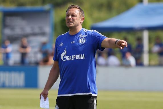 Schalke: Breitenreiter will noch drei Spieler