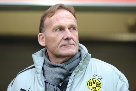 Hans-Joachim Watzke, Borussia Dortmund, Saison 2012/2013, Hans-Joachim Watzke, Borussia Dortmund, Saison 2012/2013