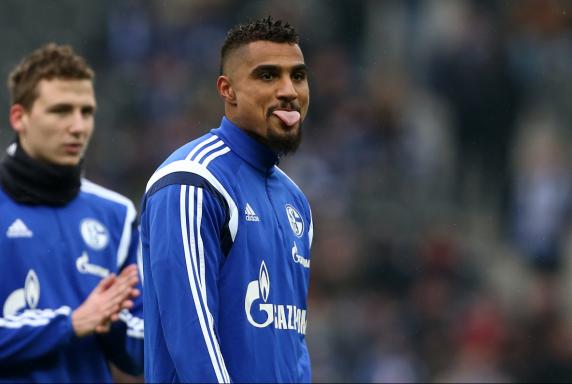 Kevin-Prince Boateng. FC Schalke 04.