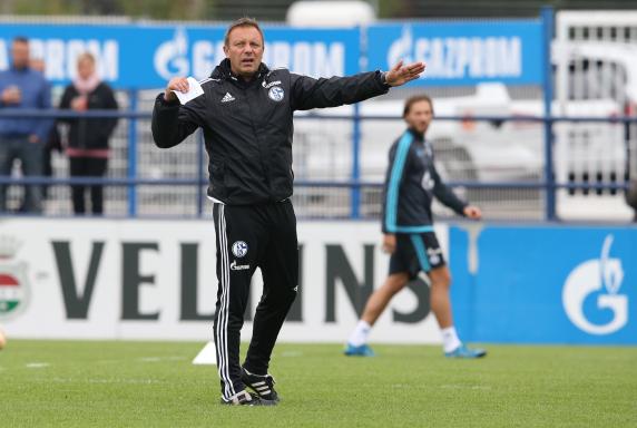 Trainer André Breitenreiter, FC Schalke 04.