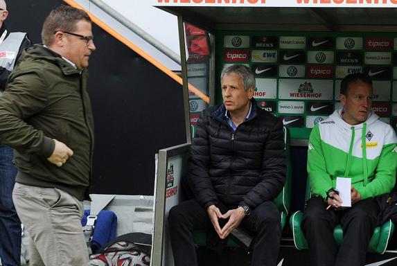 M'gladbach: Favre-Rücktritt trifft Borussia "bis ins Mark"