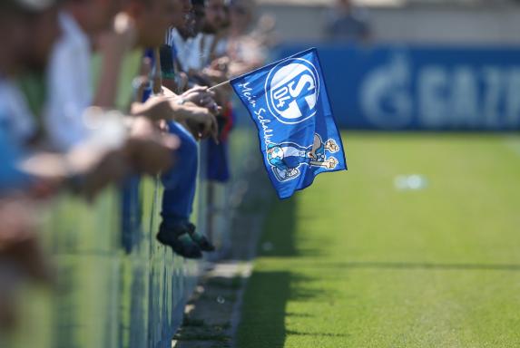 Schalke 04, Training, Fans.