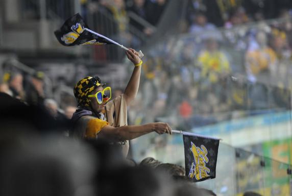 Fans, Krefeld Pinguine, Saison 2014 / 2015, Fans, Krefeld Pinguine, Saison 2014 / 2015