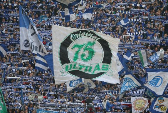 Schalke, Ultras.