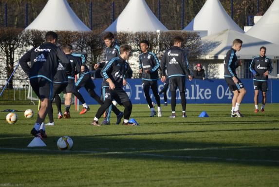 Schalke, Training.