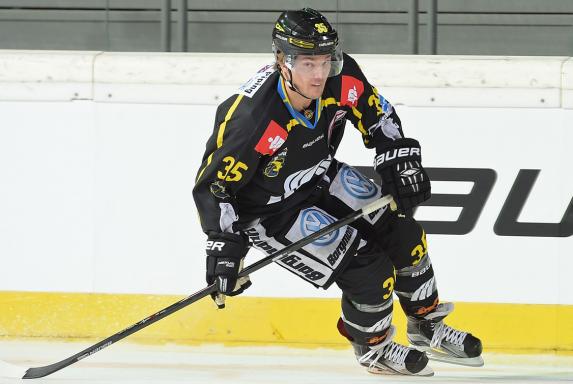 Krefeld Pinguine, Saison 2015/2016, Henrik Eriksson, Krefeld Pinguine, Saison 2015/2016, Henrik Eriksson