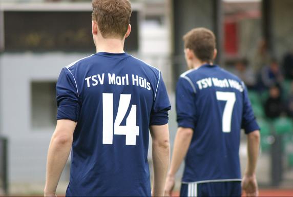 TSV Marl-Hüls, Symbol, Saison 2013/14, TSV Marl-Hüls, Symbol, Saison 2013/14