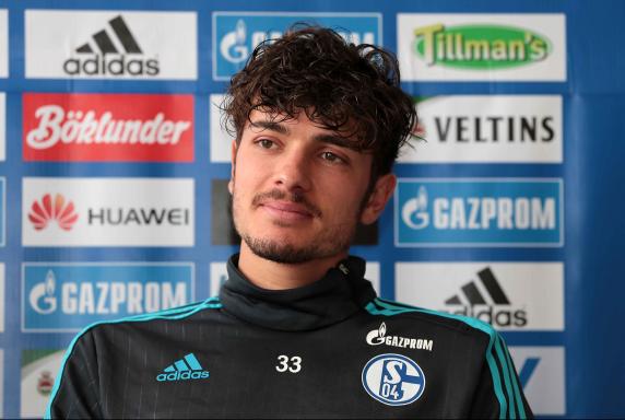 Roman Neustädter, FC Schalke 04