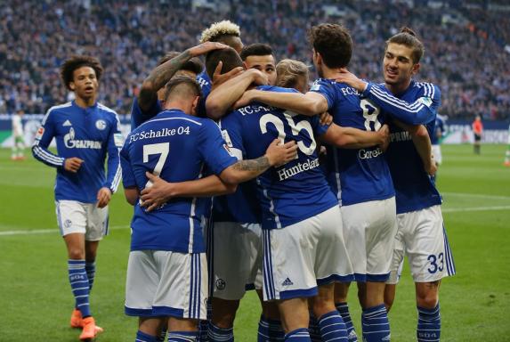 Schalke, Bundesliga, Saison 2016/16, Schalke, Bundesliga, Saison 2016/16