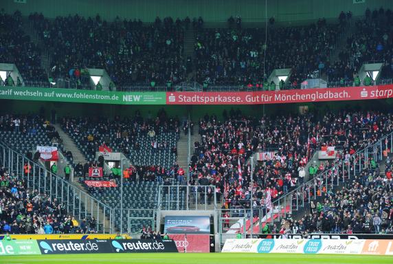 Köln-Fans, Köln-Fans