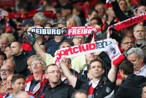 Fans, SC Freiburg, Saison 2013/2014, Fans, SC Freiburg, Saison 2013/2014