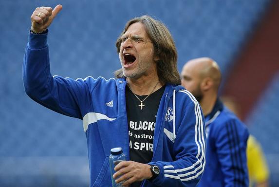 Schalke: U19-Trainer Elgert steht vor Vertragsverlängerung