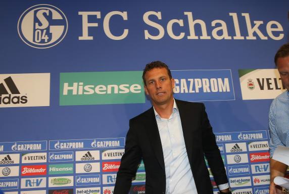 Markus Weinzierl, FC Schalke 04