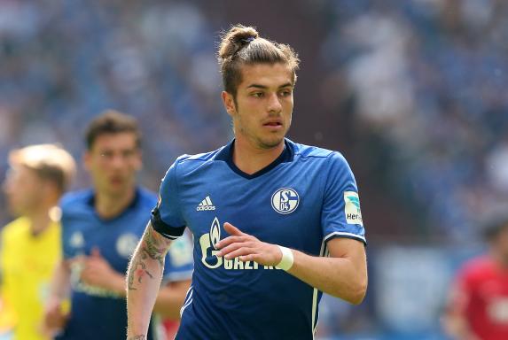 Roman Neustädter, FC Schalke 04, S04