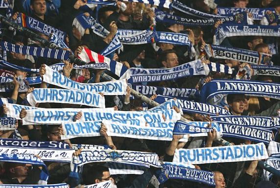 VfL Bochum, Fans