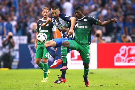 Schalke: Die Noten nach dem Spiel in Berlin