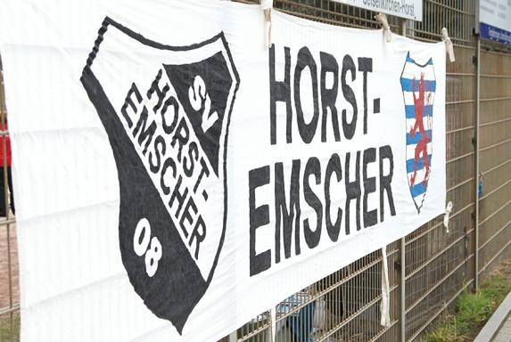 SV Horst-Emscher 08, Saison 2013/14, SV Horst-Emscher 08, Saison 2013/14