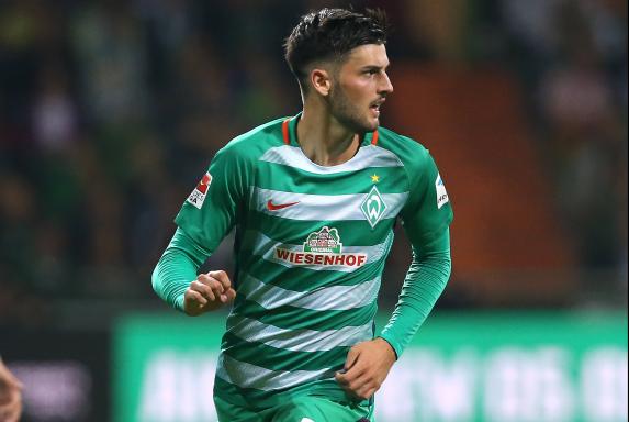 TSG Hoffenheim: Rudy-Ersatz kommt von Werder Bremen