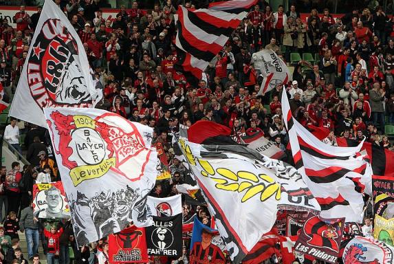 Ultras Leverkusen: Aktivitäten bei Heimspielen eingestellt