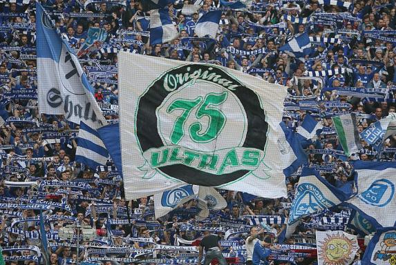 S04: Ultras werfen Schalke-Bossen fehlende Rückendeckung vor
