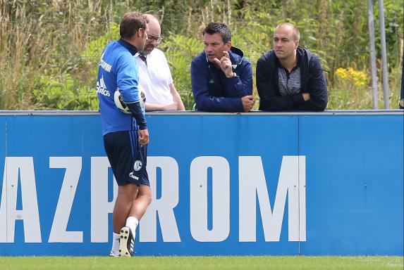 Schalke: Neuer Mentalcoach gegen die Krise