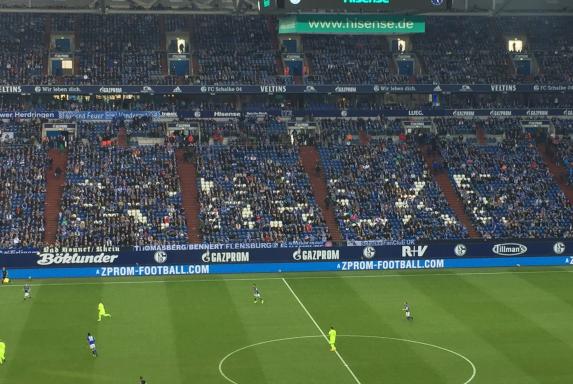 Schalke-Fans, Schalke-Fans