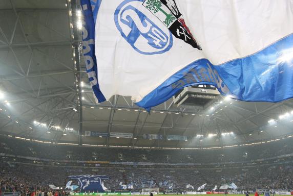 Veltins-Arena, Choreo, fc schalke 04, Schalke_Fans, Fahnenschwenker, Veltins-Arena, Choreo, fc schalke 04, Schalke_Fans, Fahnenschwenker