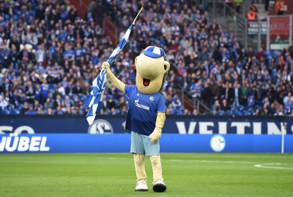 Schalke 04, 1. Bundesliga, Maskottchen, Saison 2016/17, Erwin, Schalke 04, 1. Bundesliga, Maskottchen, Saison 2016/17, Erwin