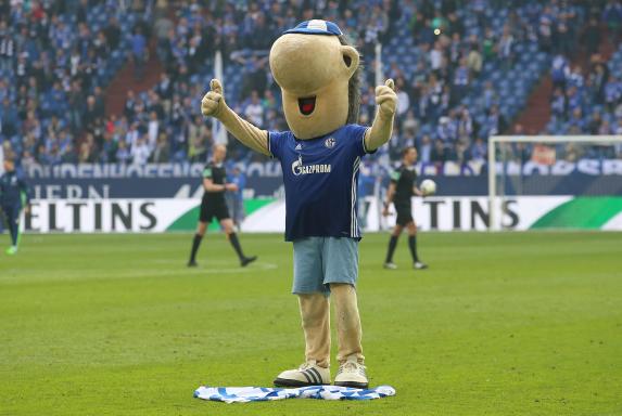 Schalke: Fans feiern Maskottchen Erwin nach 4:1-Sieg 